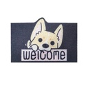 Rainbow Coil PVC Entrance Doormat - Durable Non-slip Welcome Mat For Front Door Floor