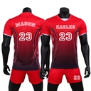 VB8058 with print.jpg