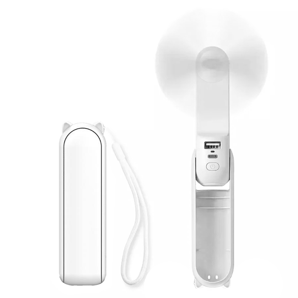 PB3895 White.jpg