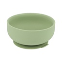 SP3937 Green.jpg