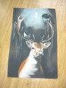 Cotton Kitchen Towel - Full Color 15.5" x 23.5"