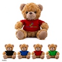 Customizable Plush Teddy Bear with Tee. TB3892