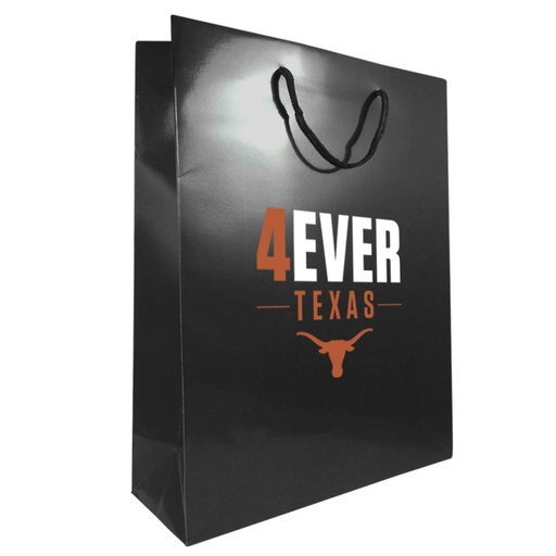 [GB6384] Reusable Gloss Laminated Paper Gift Bag