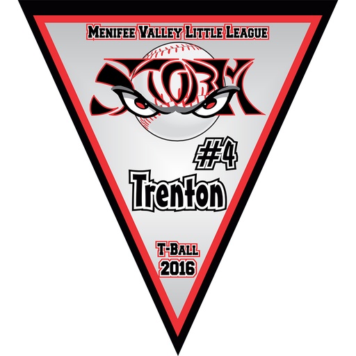 [CF8742] Personalized Triangle Banner - 13oz Matte Vinyl

