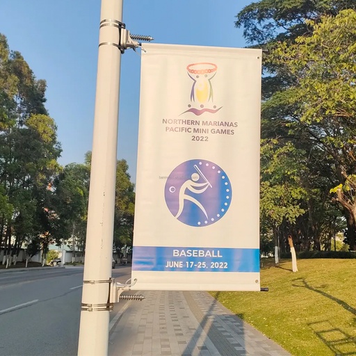 [CF7429]  Boulevard Banners 24" x 59" - 2 Side Print