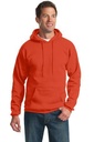Port & Company - Essential Fleece Pullover Hooded Sweatshirt. PC90H
