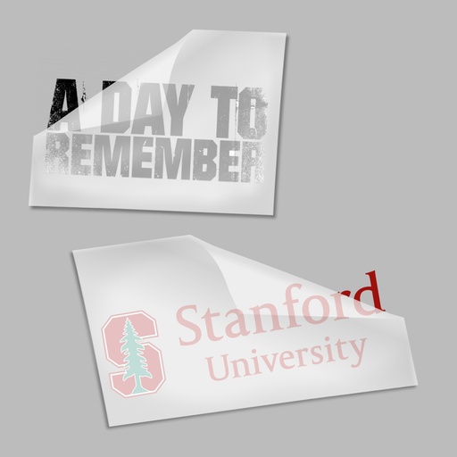 [IJ7890] 10" x 10" Vinyl screen print transfer . IJ7890