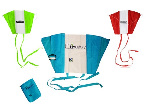 [EK3488] Folding Eagle Kite w/ Pouch
