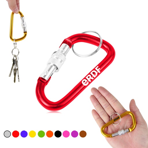 [CK3955] Screw Lock D Hung Carabiner Keyring